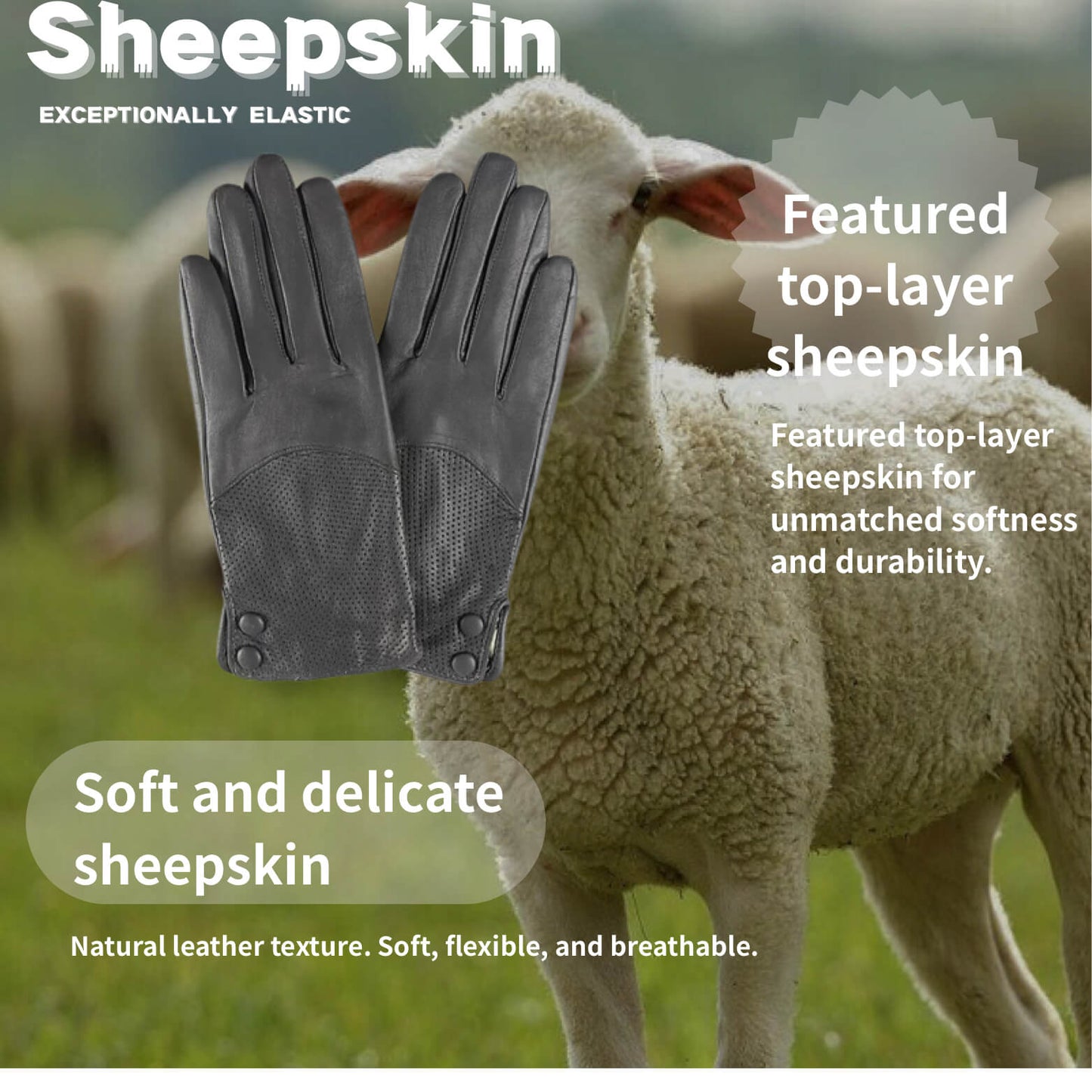 Women’s Sheepskin Driving Gloves – Lightweight & Breathable with Perforated Back